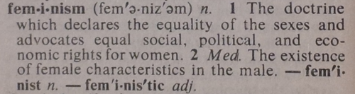 feminism-definition